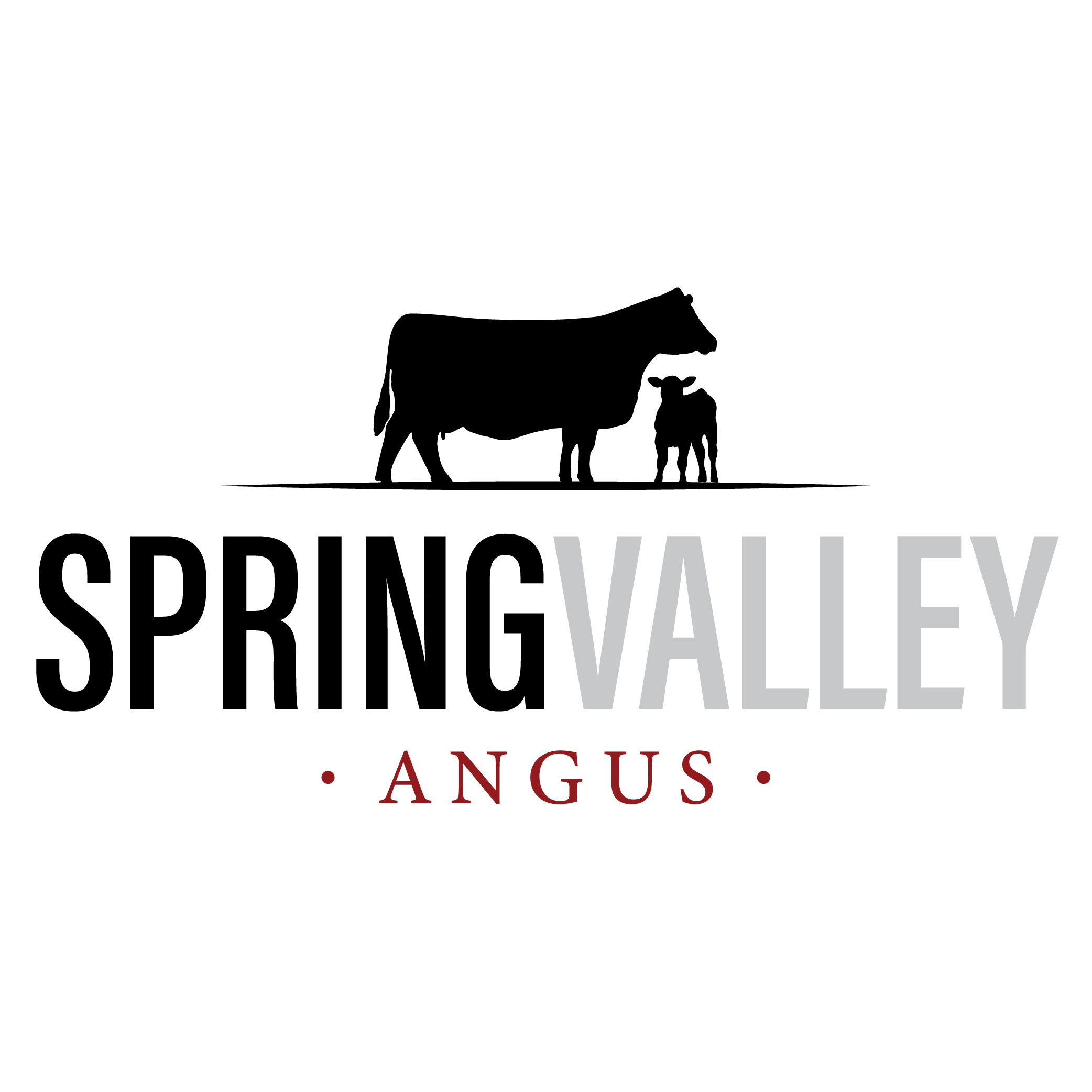 Spring Valley Angus – LaMoure, ND